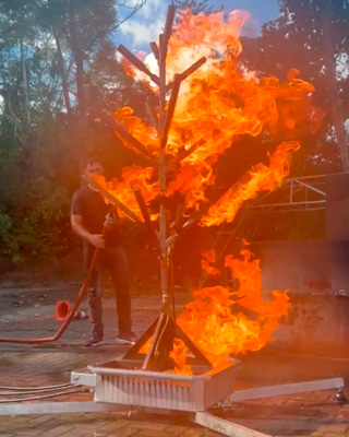 Simulador de incêndio TRX TREE FIRE Treinex